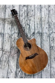 Guitar Acoustic HD11F  (all solid )